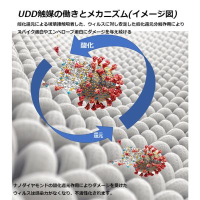 コロナウィルス、カビ、大腸菌などの対策DFKCOAT